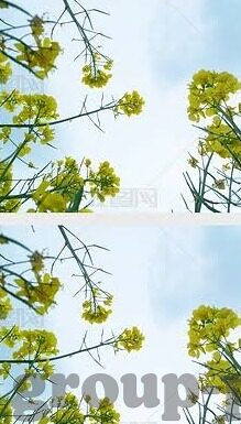 九游体育登录-九游体育登录，便捷体验与安全保障并重
